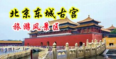看看操逼的免费黄片中国北京-东城古宫旅游风景区